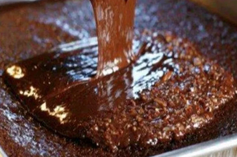 Slice of Pioneer Woman's chocolate sheet cake with chocolate frosting